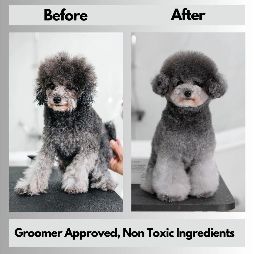 Pet Buddy Bath Set - Image 3
